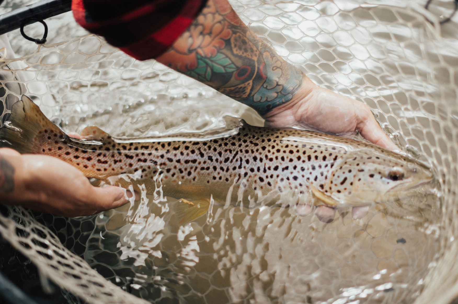 4 Tips For Better Fish Handling