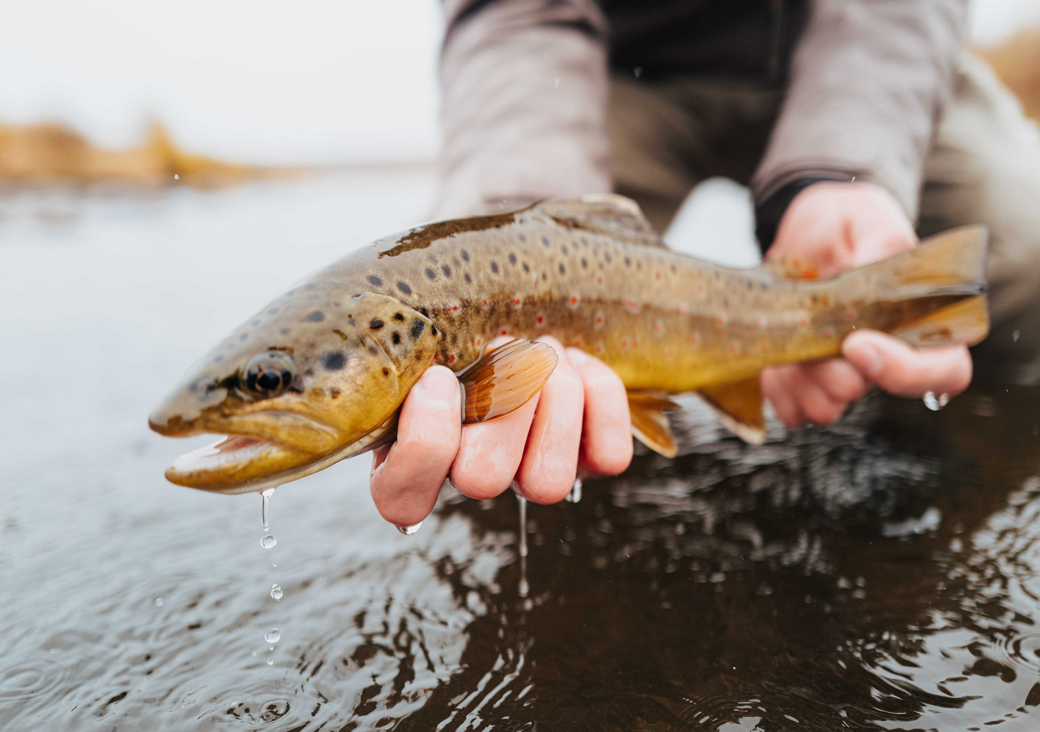 13 Essential Accessories for Every Fly Angler - Featured Image