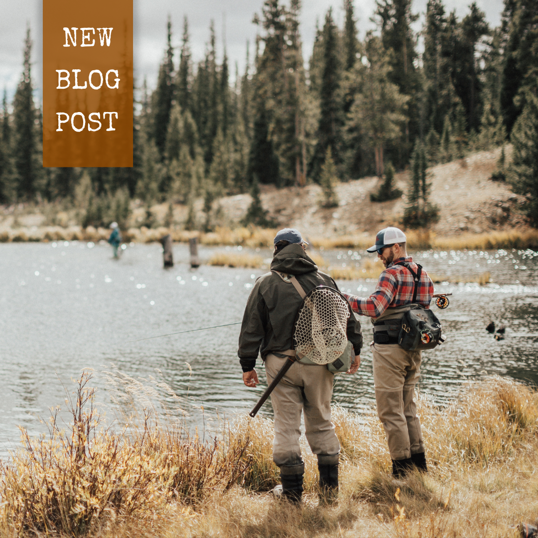 A Beginner's Guide to Riverside Entomology