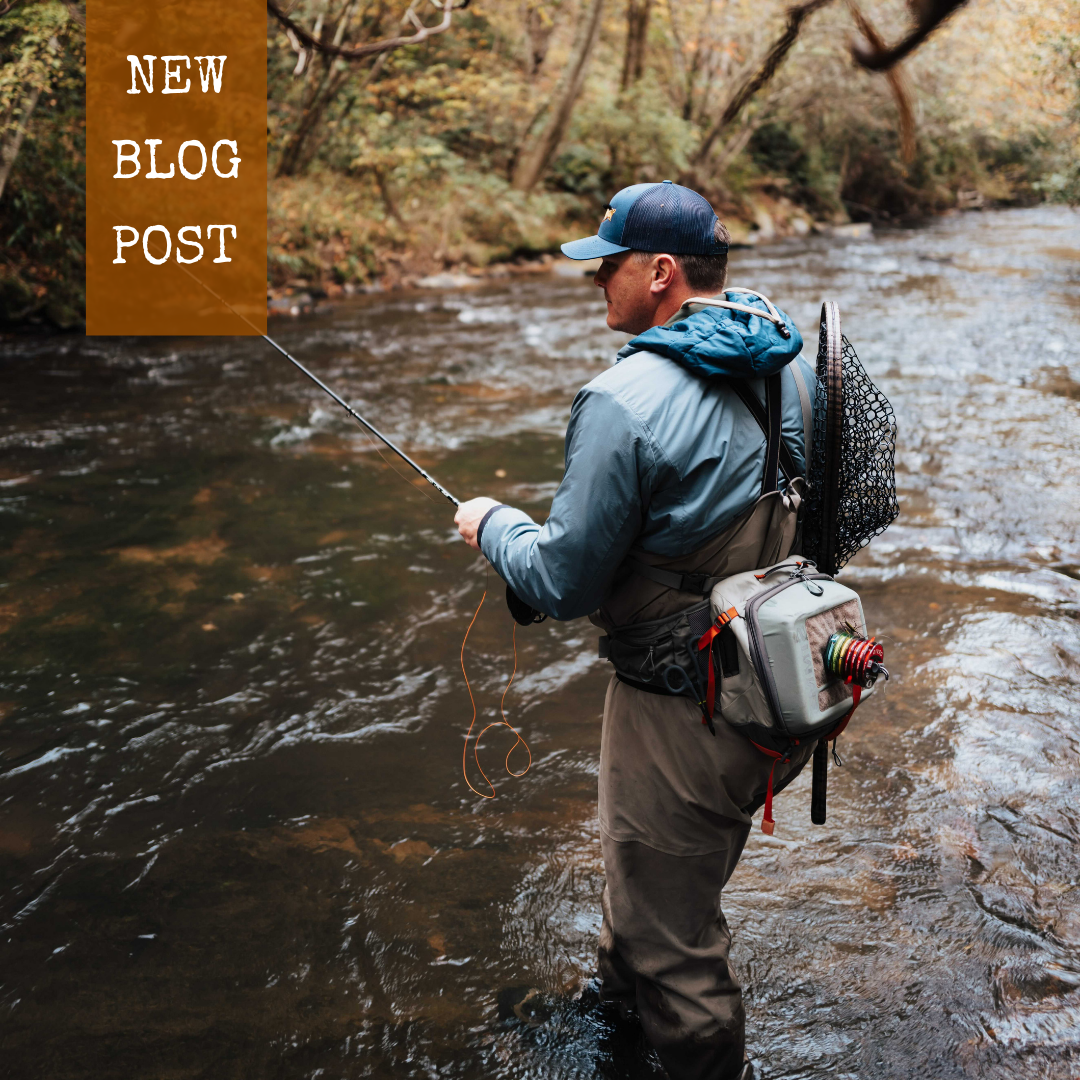 How To Be a Better Euronympher: 7 Tips from George Daniel