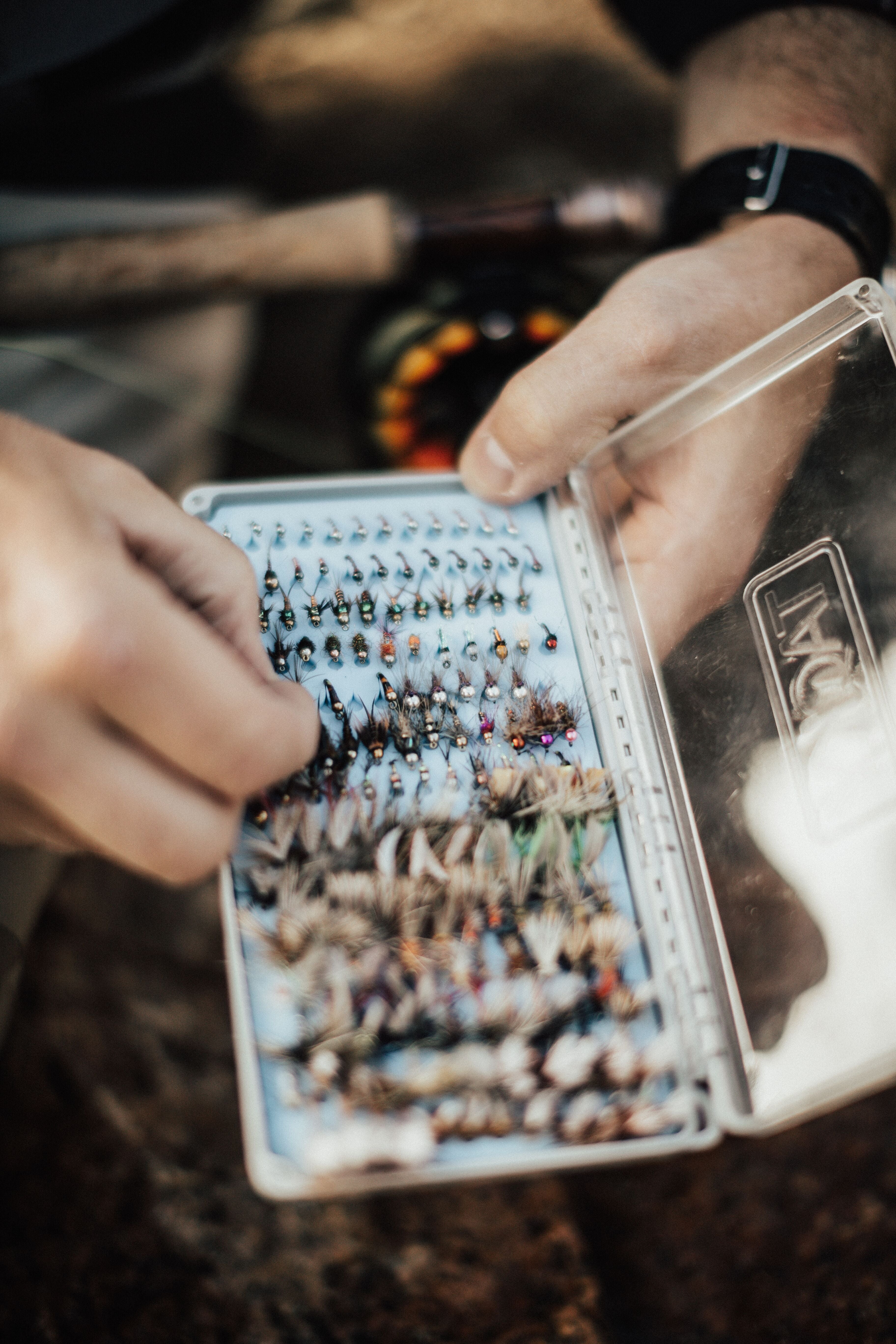 What Flies Do I Need!?