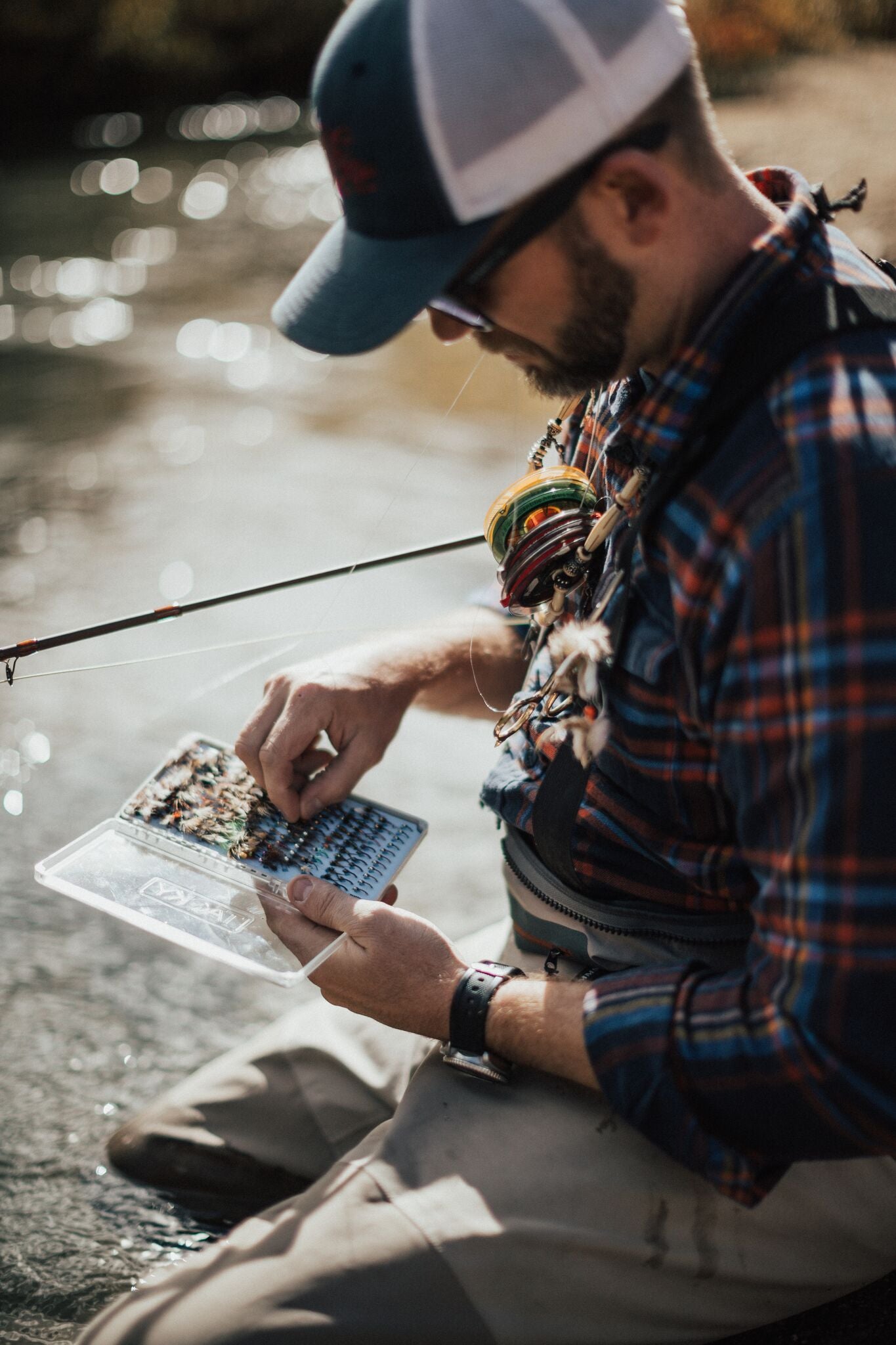 Can Fish See Color? - Moonshine Rods