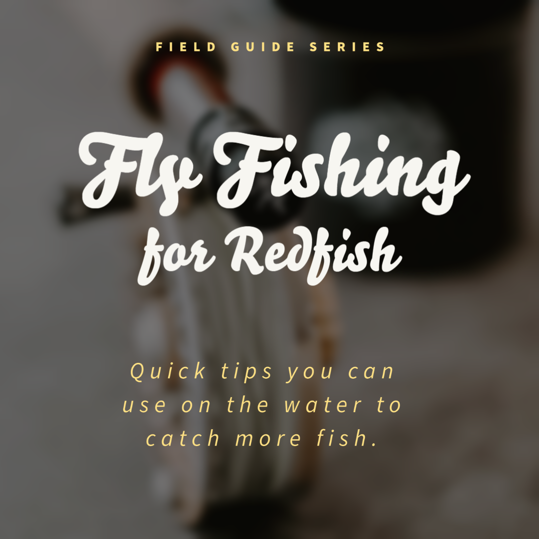 Fly Fishing For Redfish. Tips for Fly fishing in the Ocean