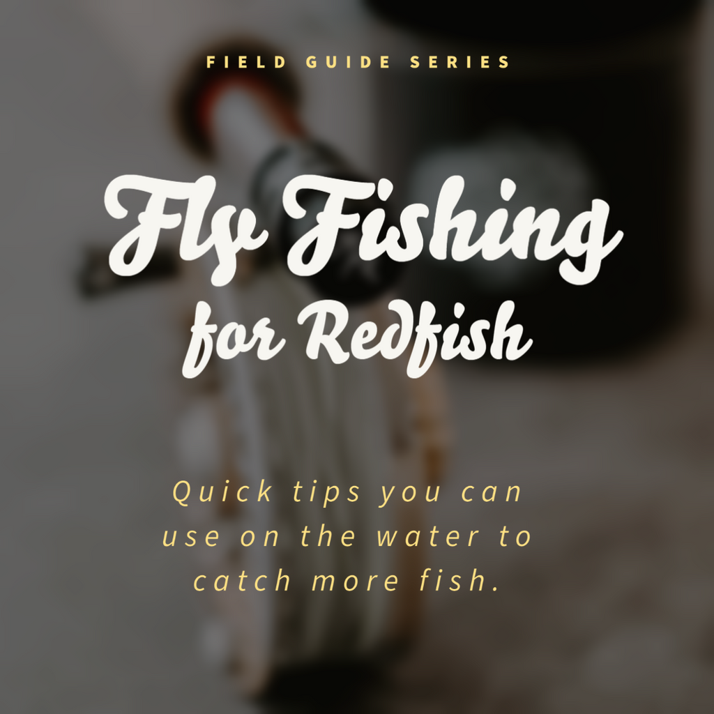 Field Guide: The Fundamentals of Fly Fishing for Redfish