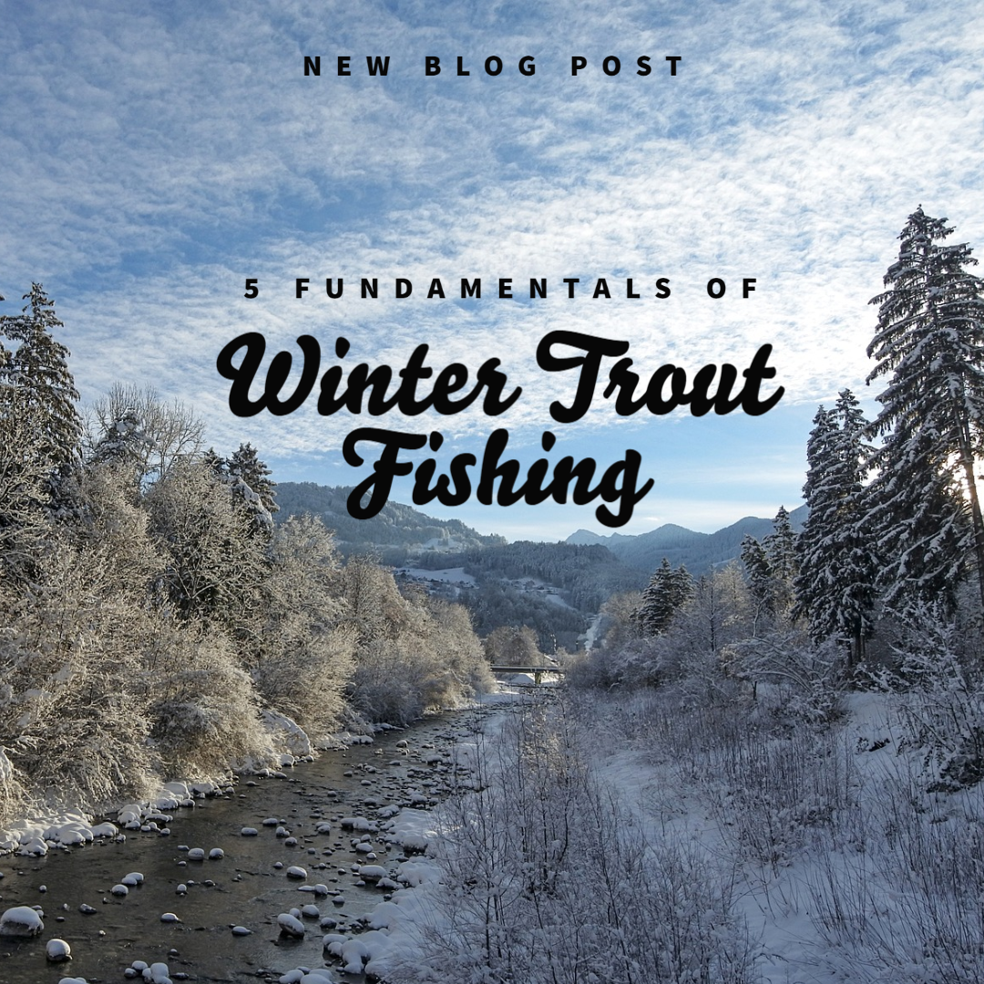 5 Fundamentals of Winter Trout Fishing
