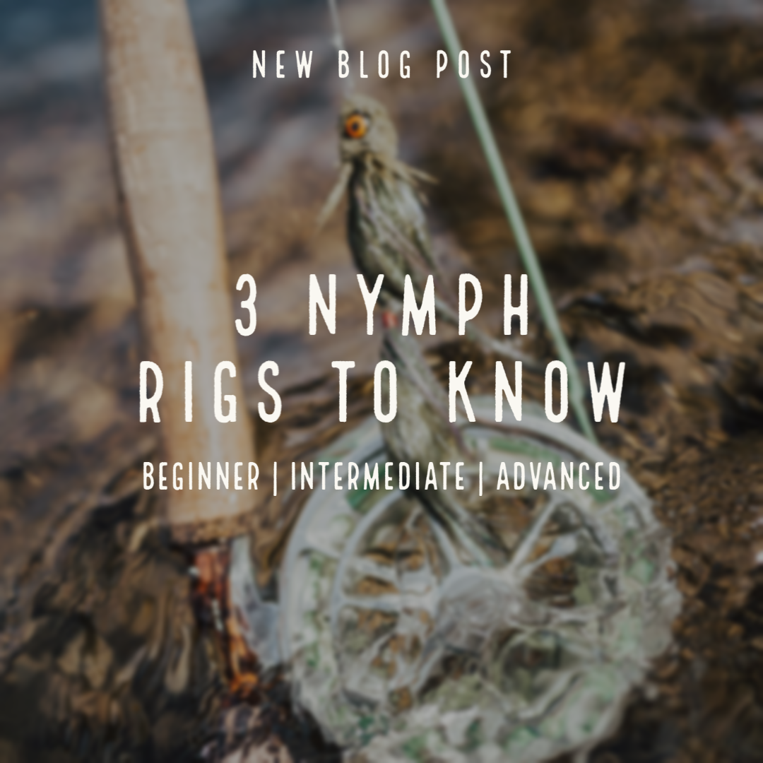 3 Nymph Rigs to Know: Beginner, Intermediate, and Advanced