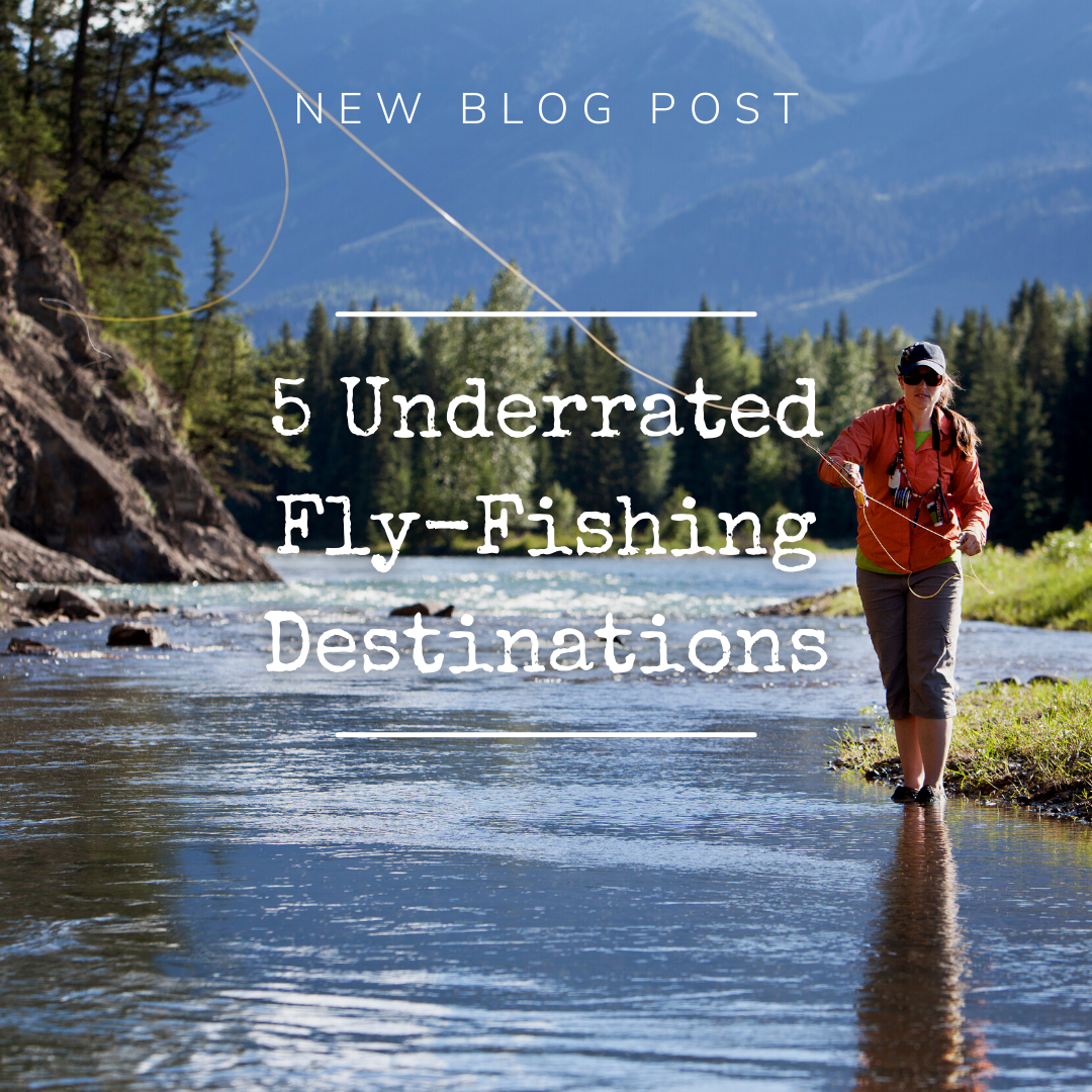 5 Underrated Fly-Fishing Destinations