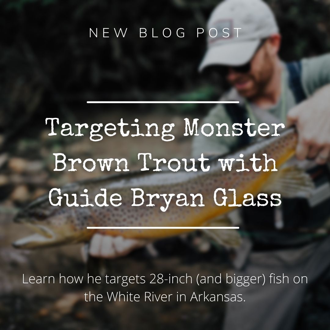 Targeting Monster Brown Trout with Guide Bryan Glass