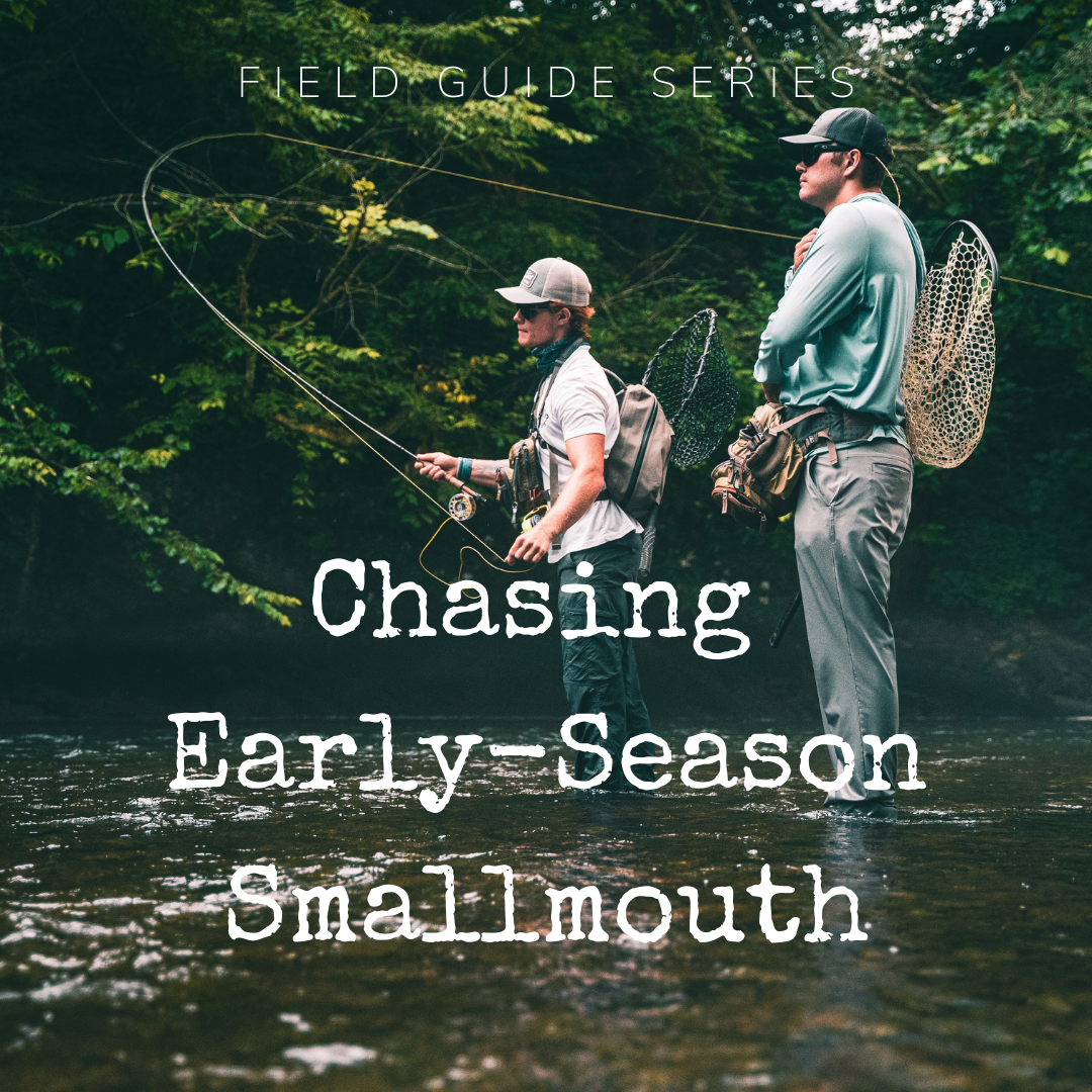 Field Guide: Chasing Early-Season Smallmouth