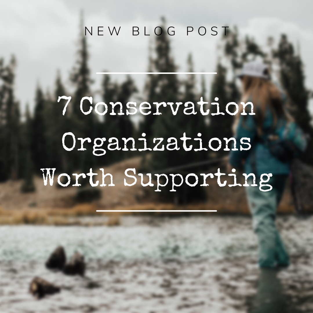 7 Conservation Organizations Worth Supporting