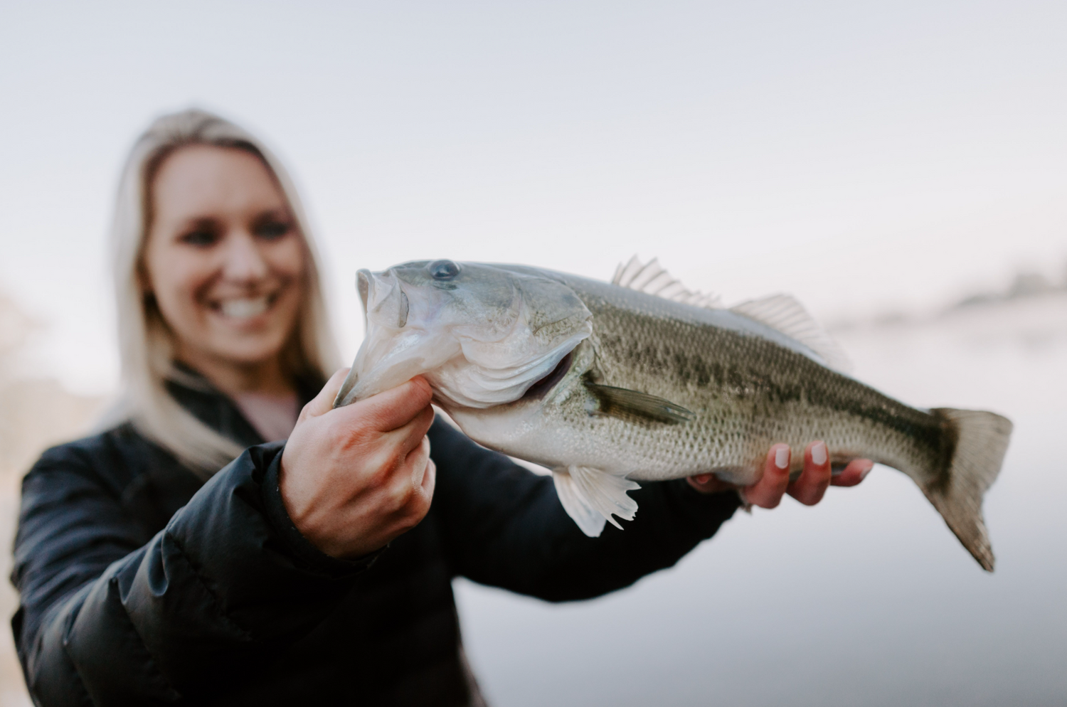Field Guide: Fly Fishing for Largemouth Bass!