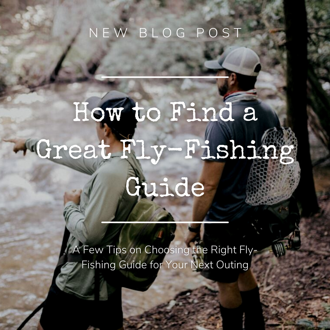 How to Find a Great Fly-Fishing Guide