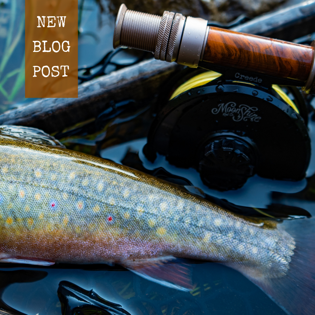 5 U.S. States for Incredible Wintertime Fly Fishing