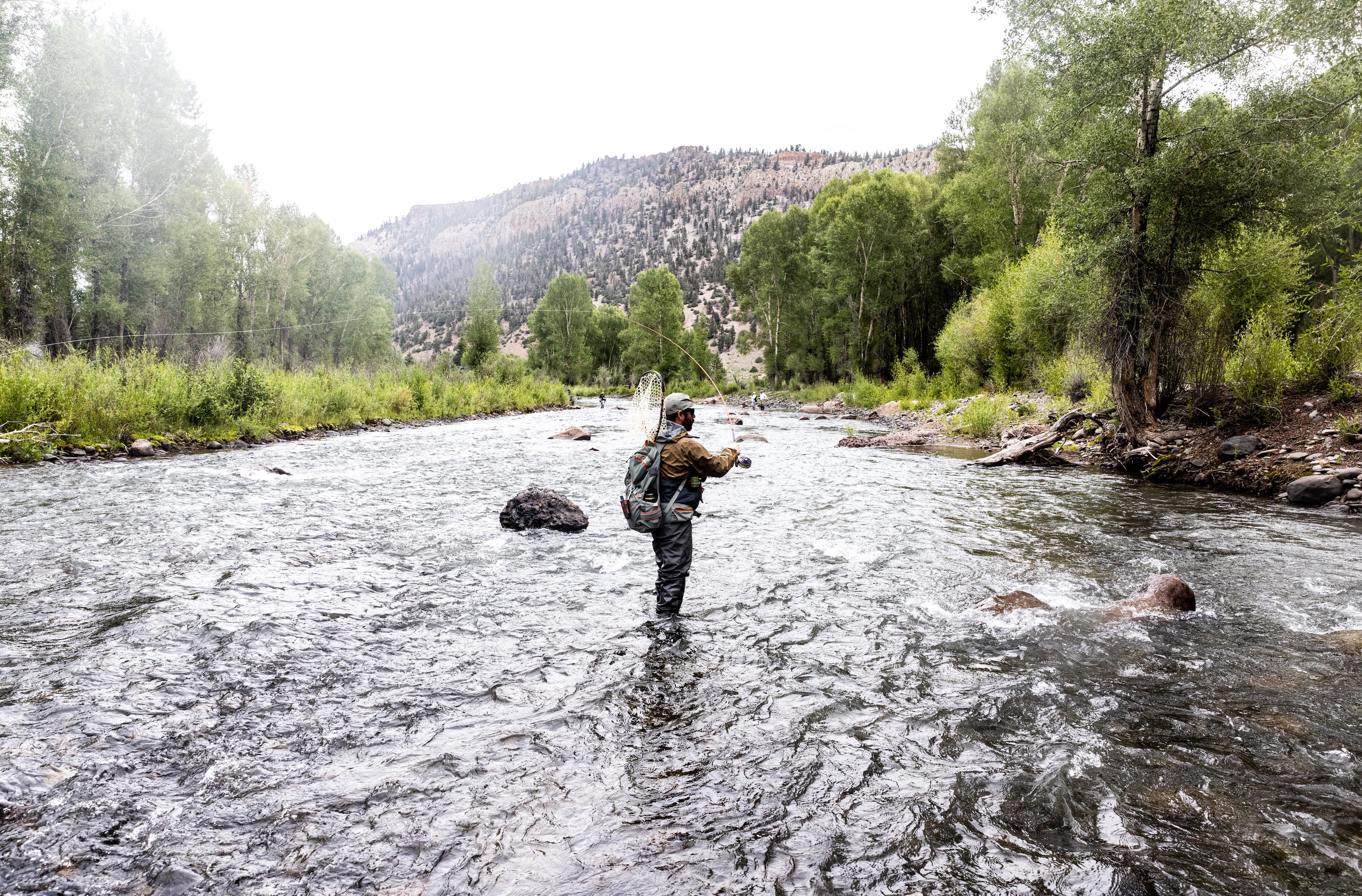 Are Expensive Fly Rods Worth the Cost?
