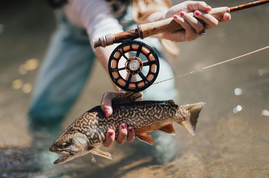 How do I know what Rod and Reel to buy!?