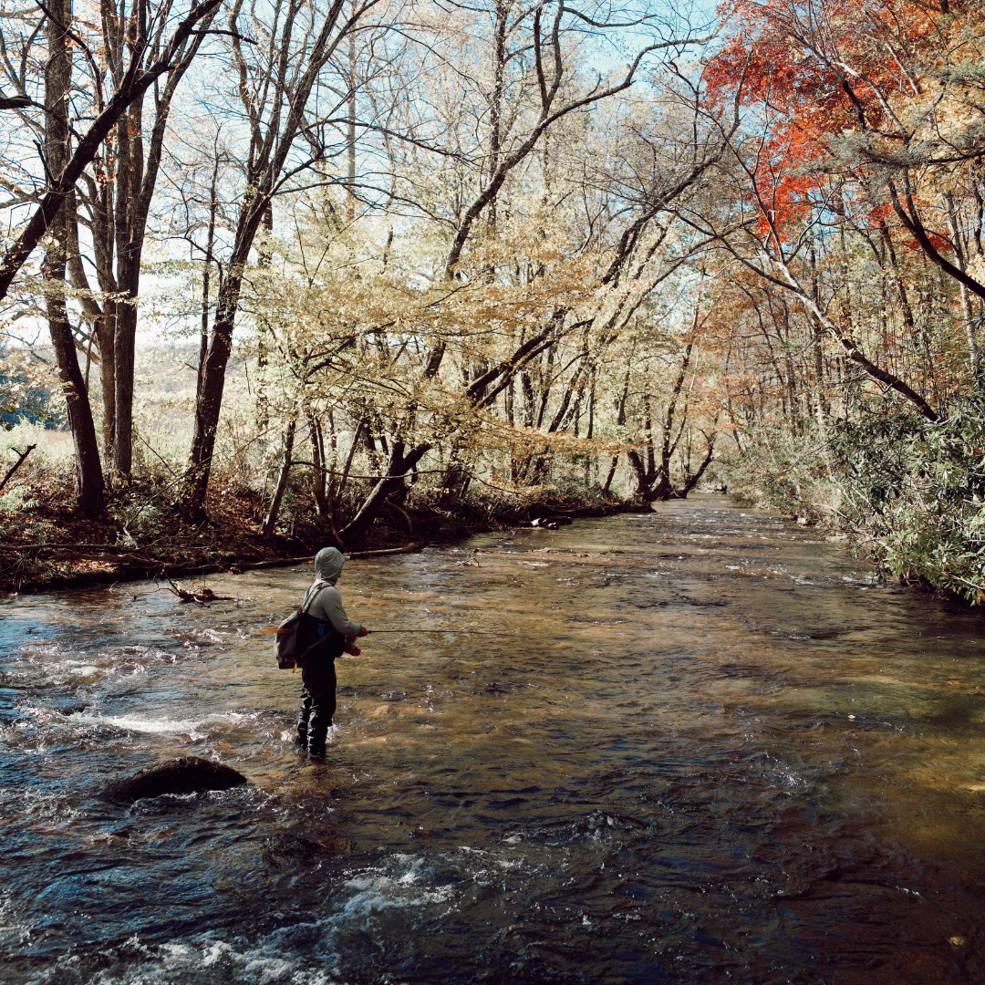 How to Fish Small Streams Like a Pro
