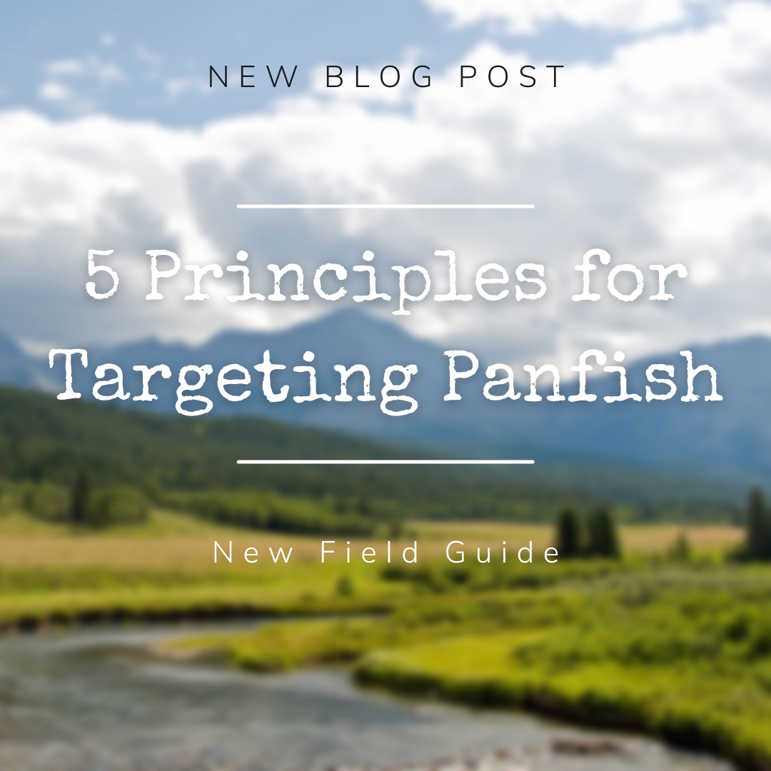 Field Guide: 5 Principles for Targeting Panfish